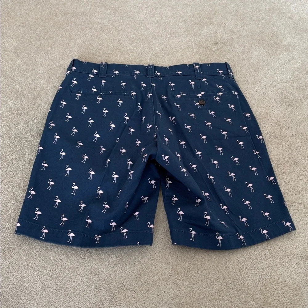 J. Crew Shorts